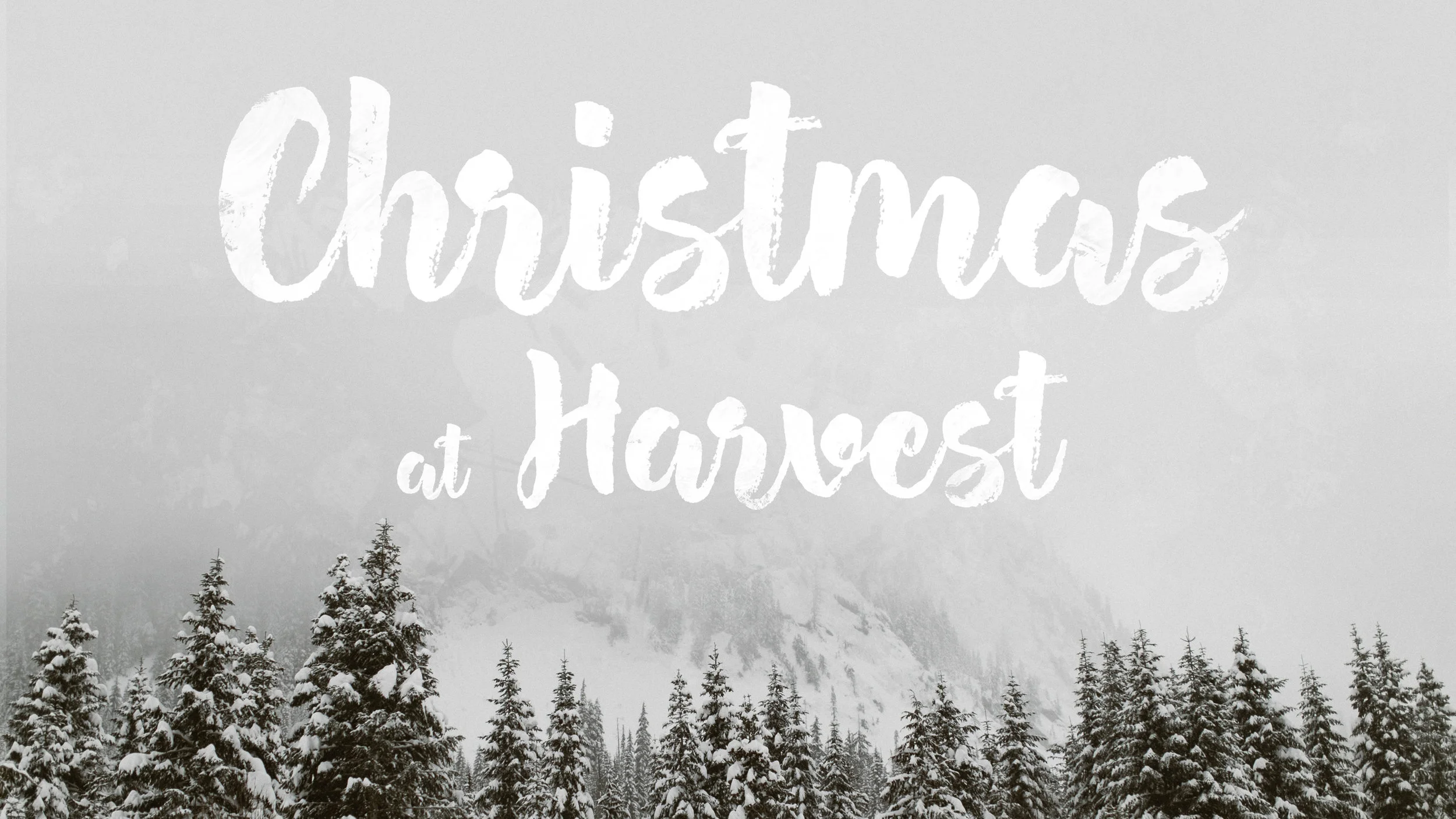 December 10, 2017 - "Love" – John 3
