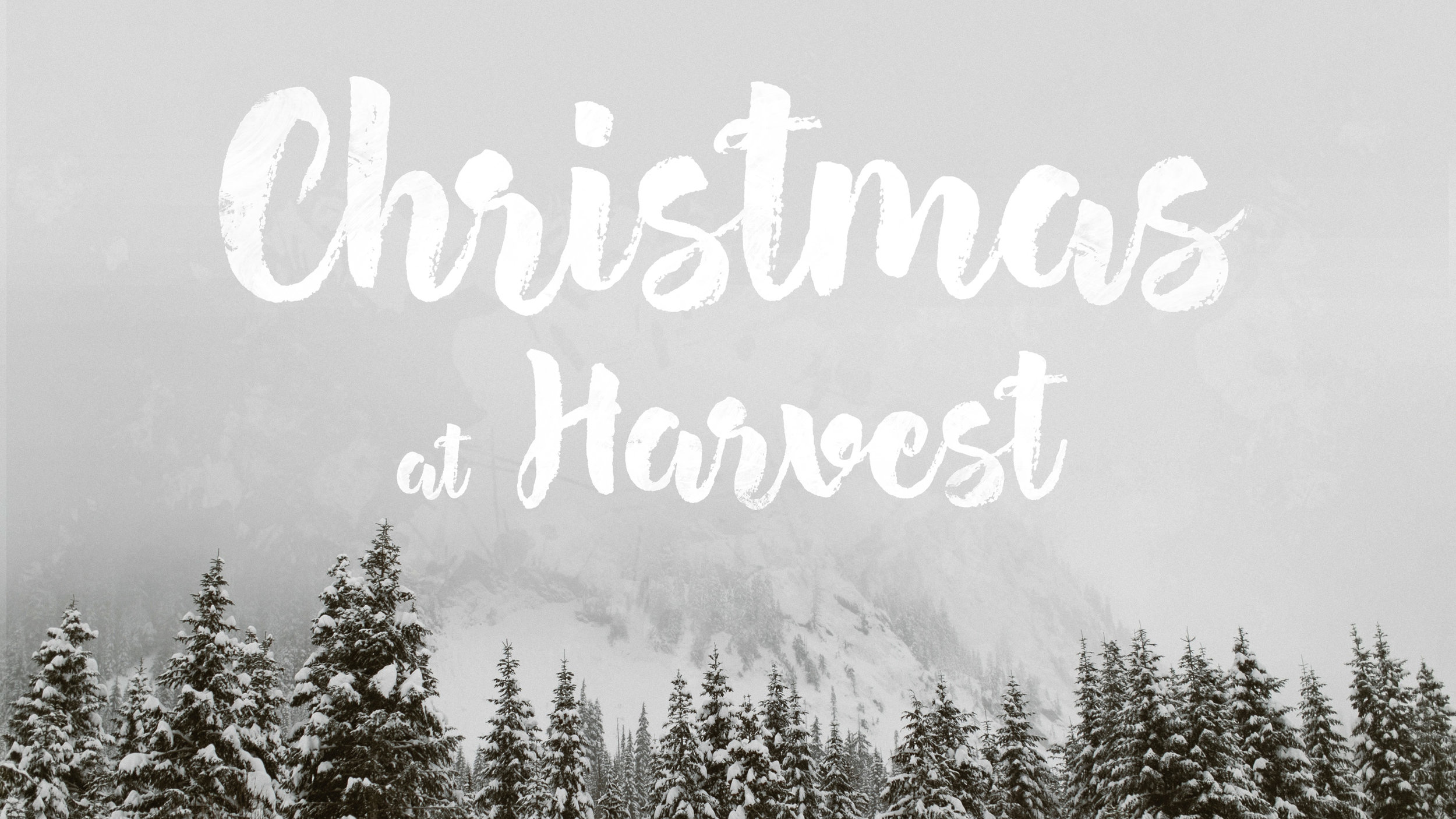 December 17, 2017 – "Joy" – Luke 2