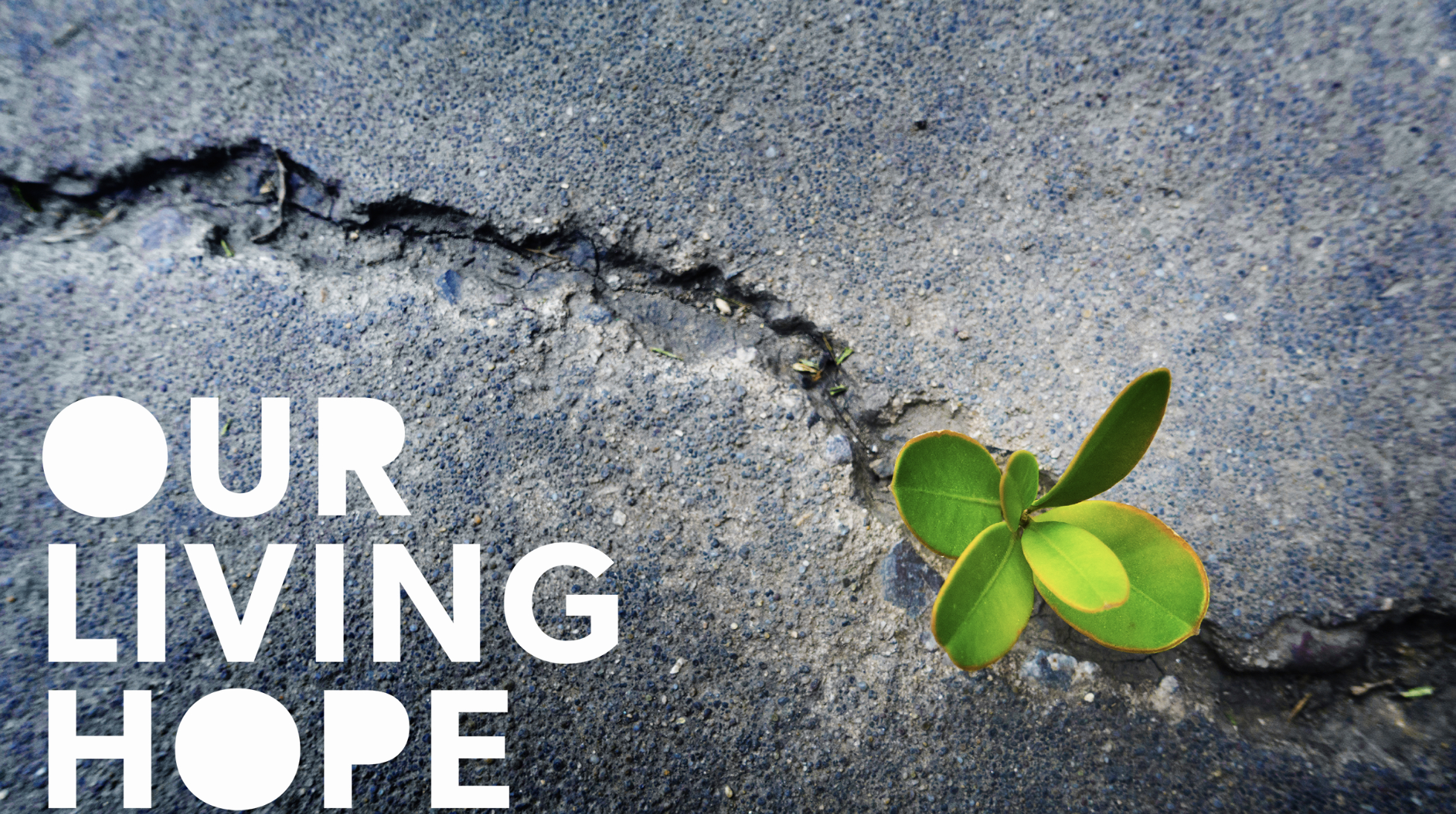 April 3, 2016 – "Our Living Hope" – 1 Peter