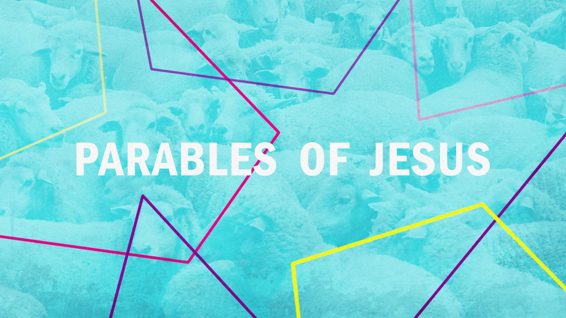 September 8, 2019 - "The Parable of the Wicked Tenants" – Matthew 21