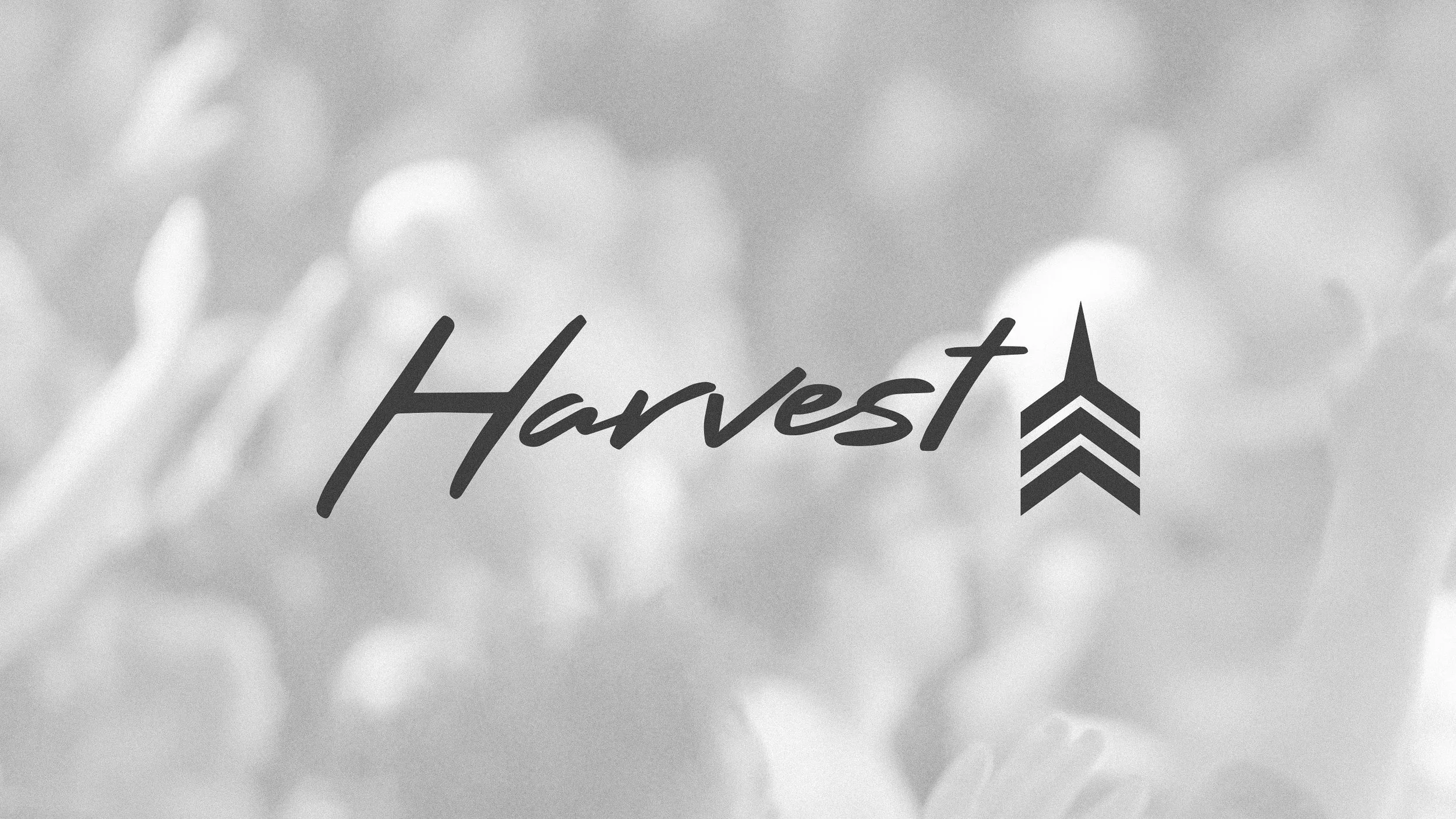 December 1, 2024 - "Thankful For Rest" - Mark 2:23-3:6