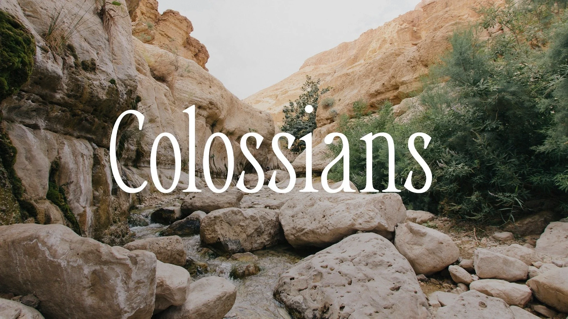 Colossians - "Week 2"