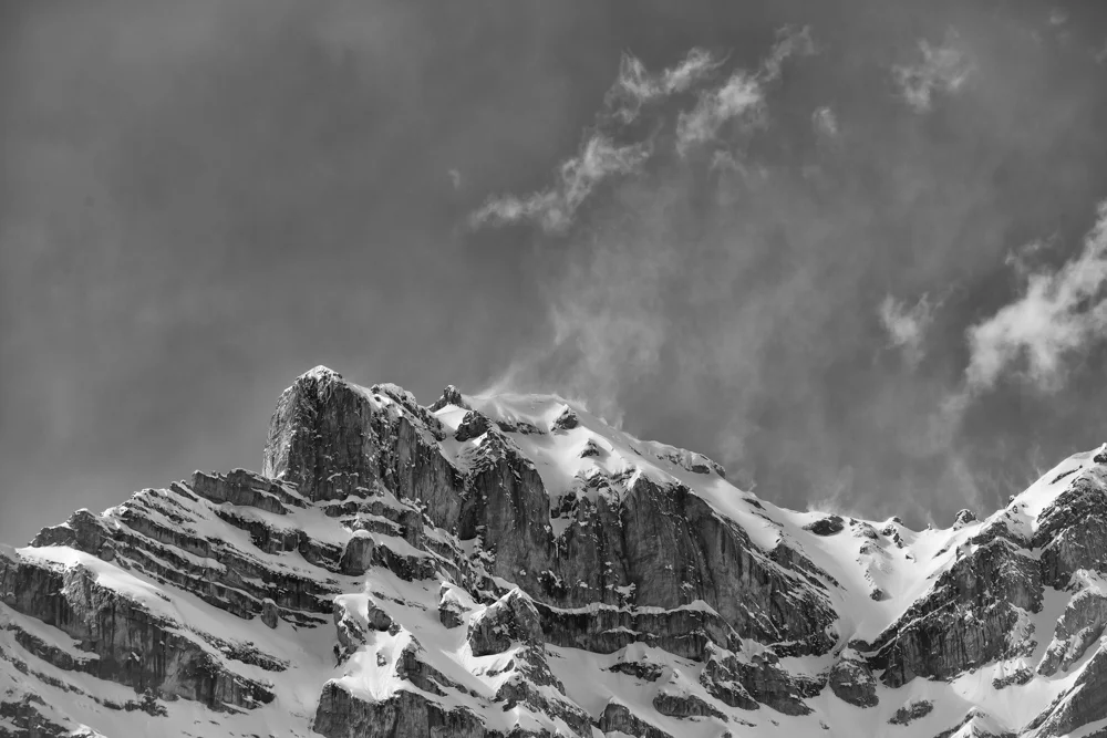 acp-20130426-0136-Edit.jpg