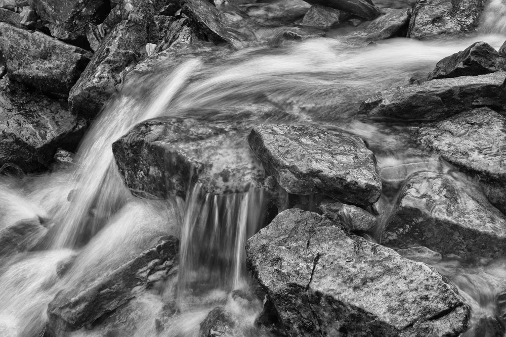 acp-20130729-0228.jpg