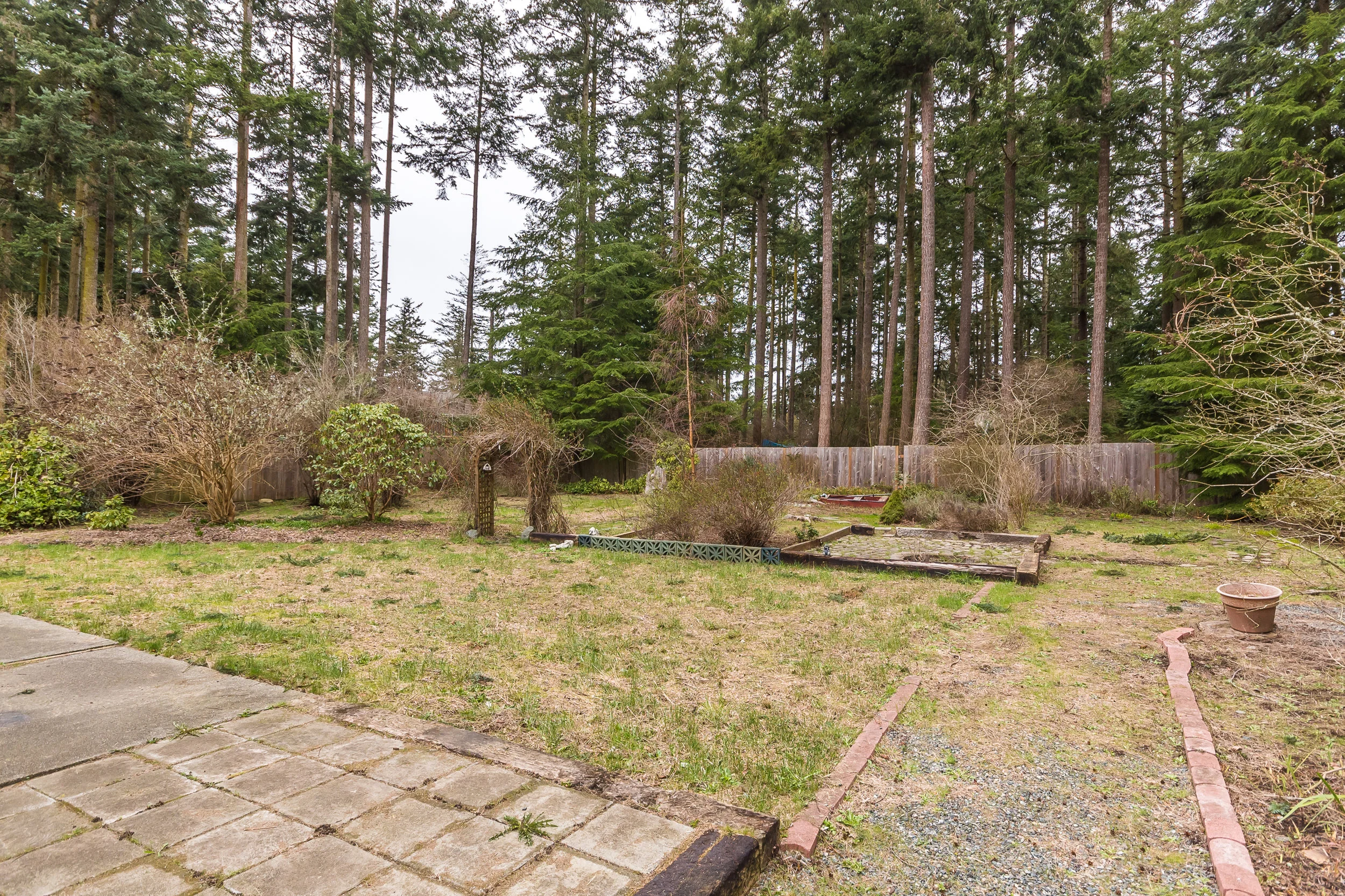 BACK_YARD_5.jpg