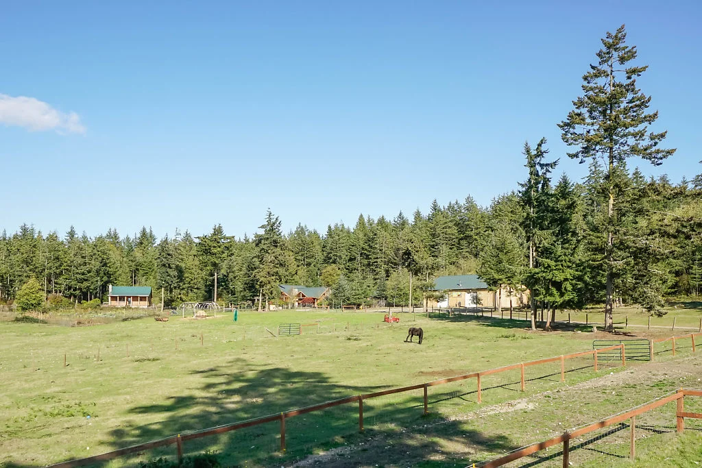 Fenced pasture & fields...with mini orchard, mature trees, and deep private well....ready to be a working farm, or simply an income producing property in an amazing setting...