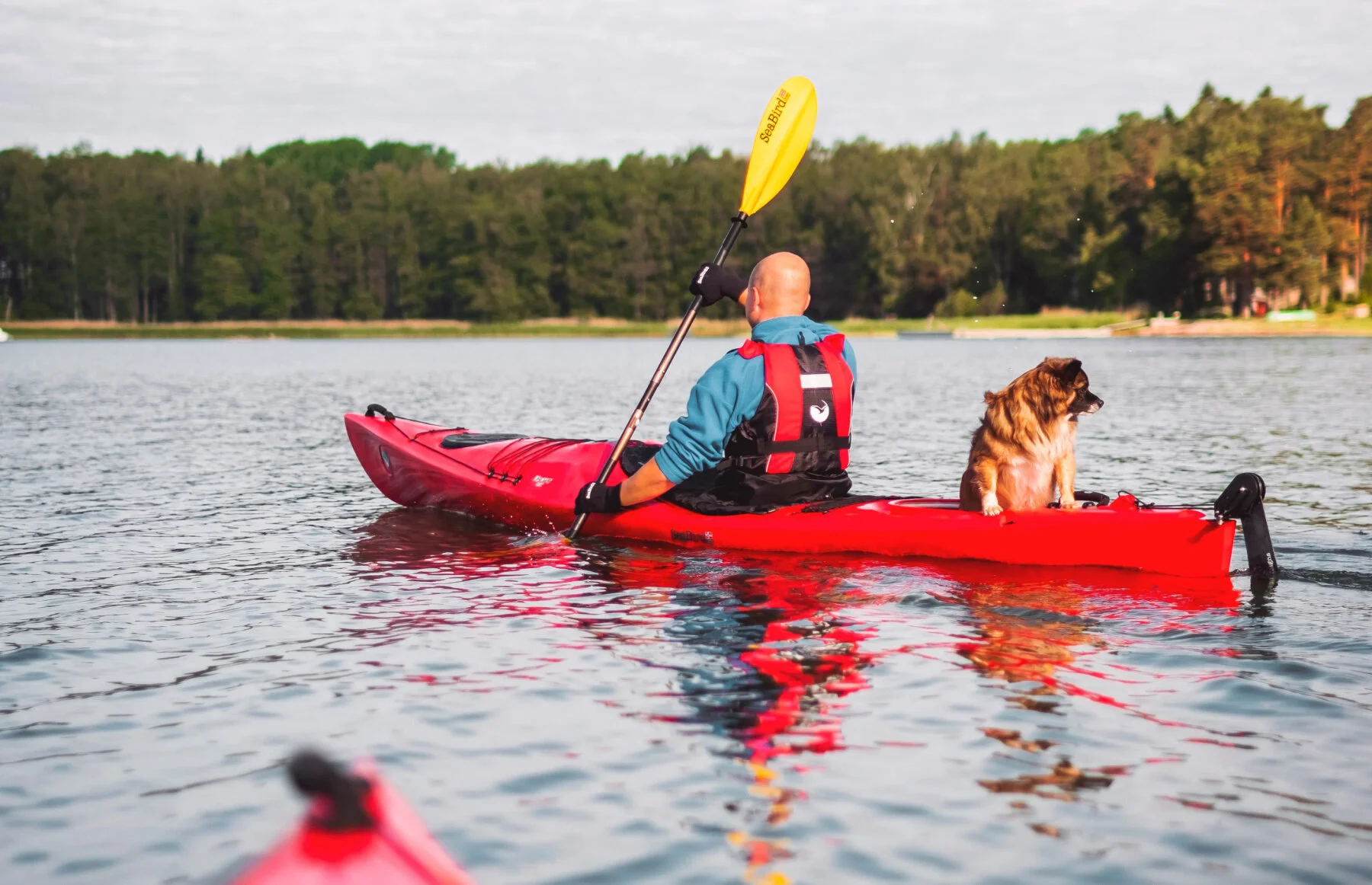 Local Lift: Sunshine Drip Coffee Lounge, Whidbey Island Boats &amp; Boards, Oak Harbor Playtown, &amp; Popsies&nbsp;GIVEAWAY