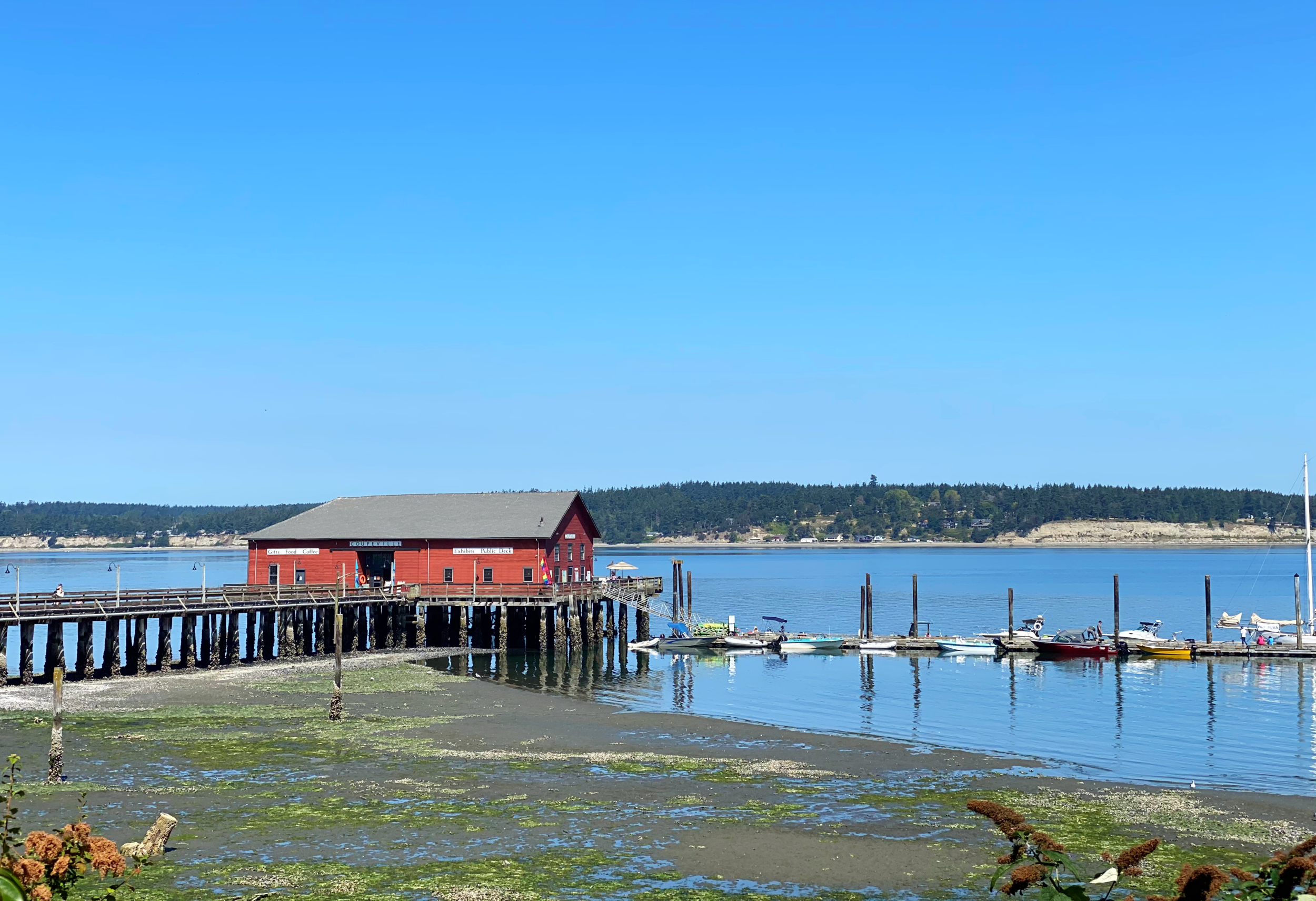 Local Lift Comfort in Coupeville Edition: Bayleaf, Toby’s Tavern, Front Street Grill GIVEAWAY