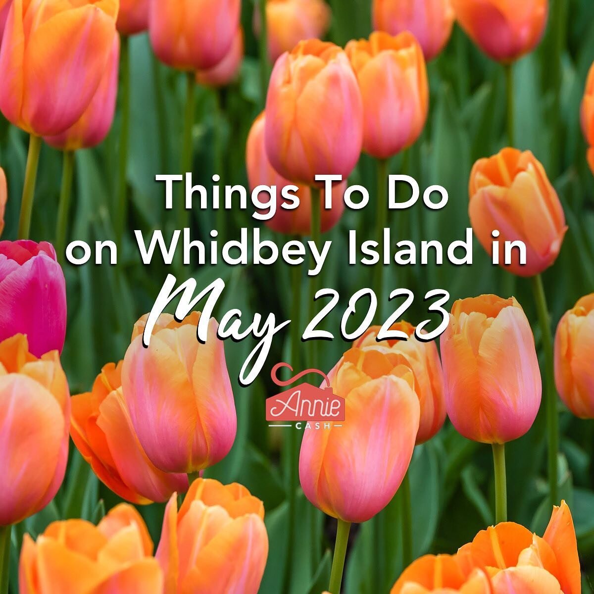 Happy May! 🌷☀️ This month brings us so many fun + festive things to do and see on #WhidbeyIsland! 
✨ For a full calendar of May 2023 events, follow my link in bio! ✨
#whidbeyisland #whidbey #whidbeylife #oakharbor #oakharborwa #whidbeyislandreales