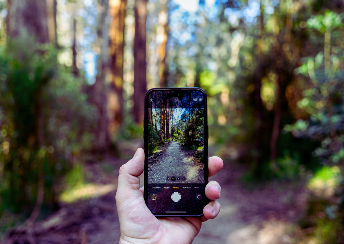 8 Whidbey Island Spots With the Most Instagram-Worthy Views