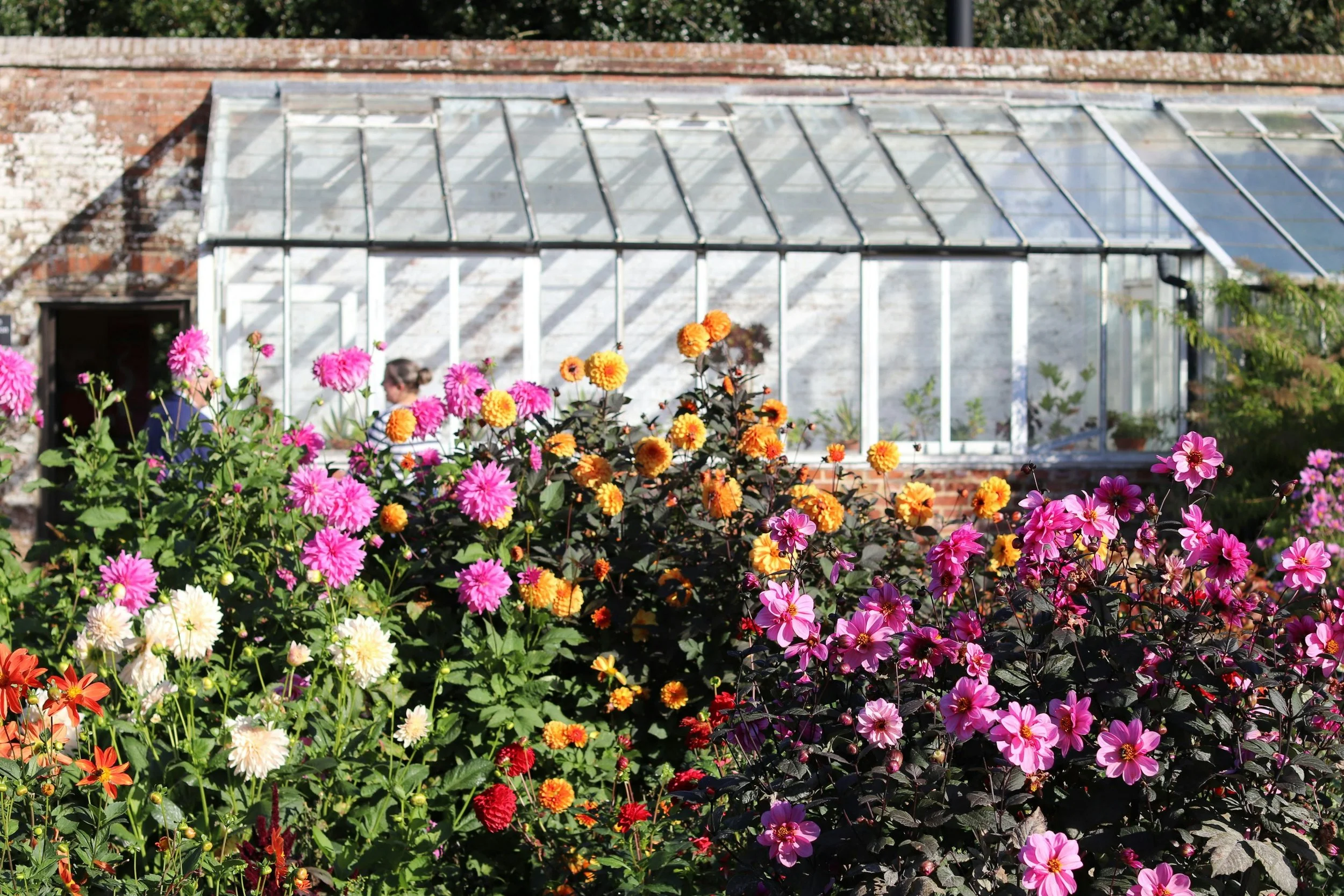 Local Lift: Mailliard's Landing Nursery, PNW Vibes Market, 3 Sisters Market, &amp; Noe Jose Cafe GIVEAWAY