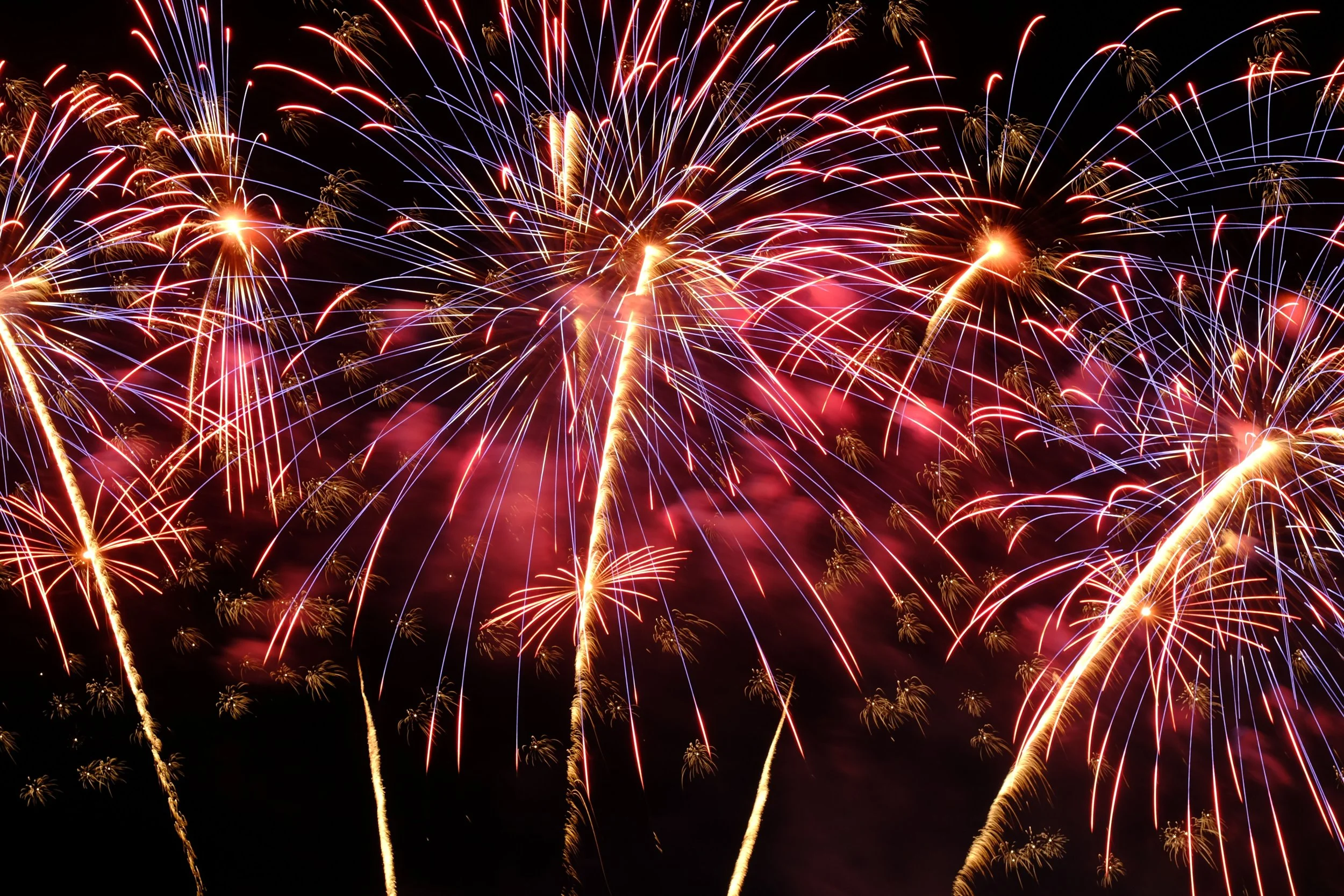 Things To Do on Whidbey Island in July 2026