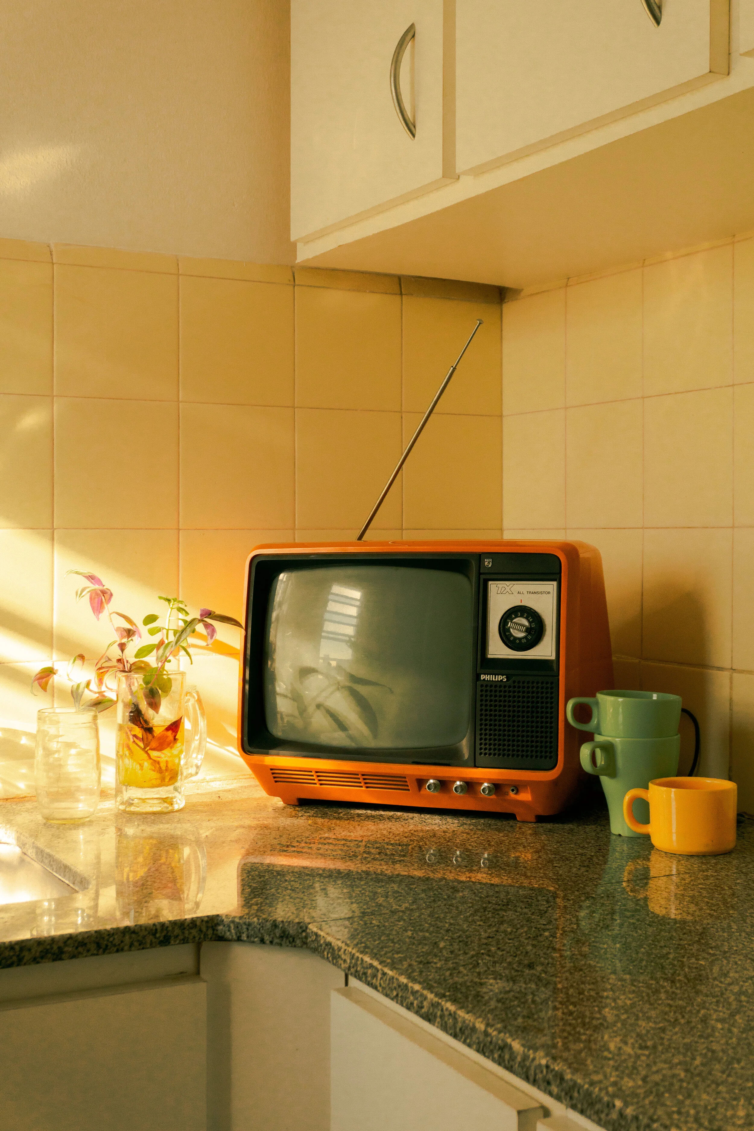Illuminating Stories of Color: 6 Shows to Watch Now