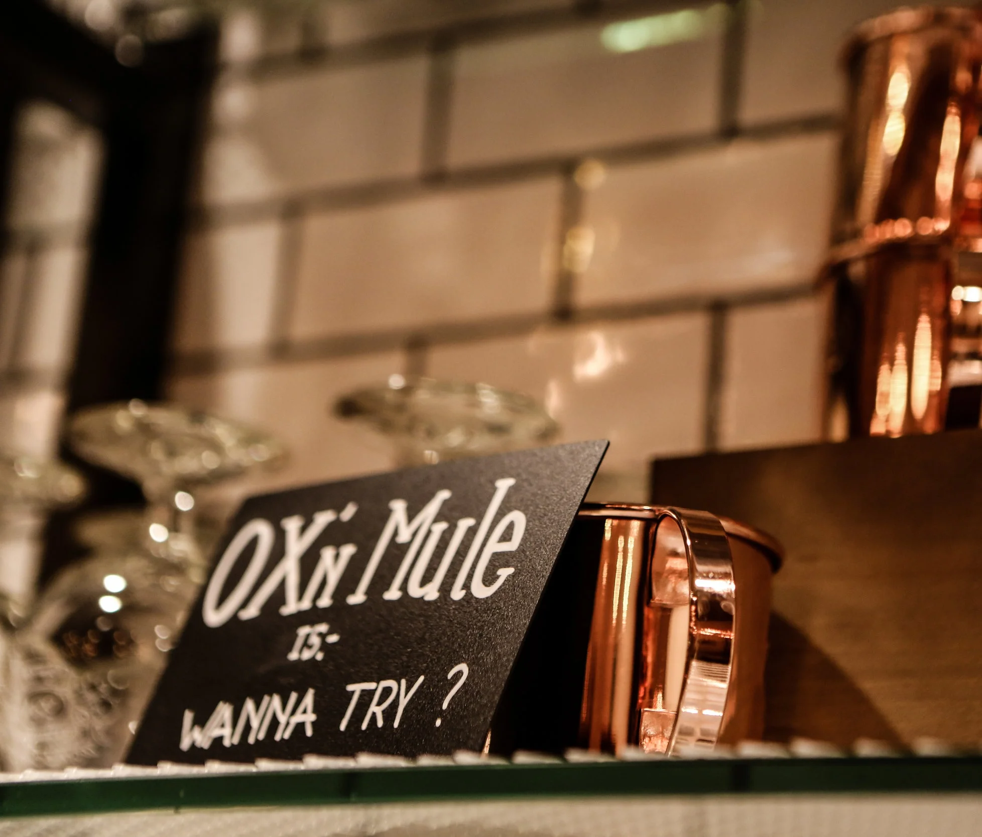 oxn_winter_2018_28.jpg