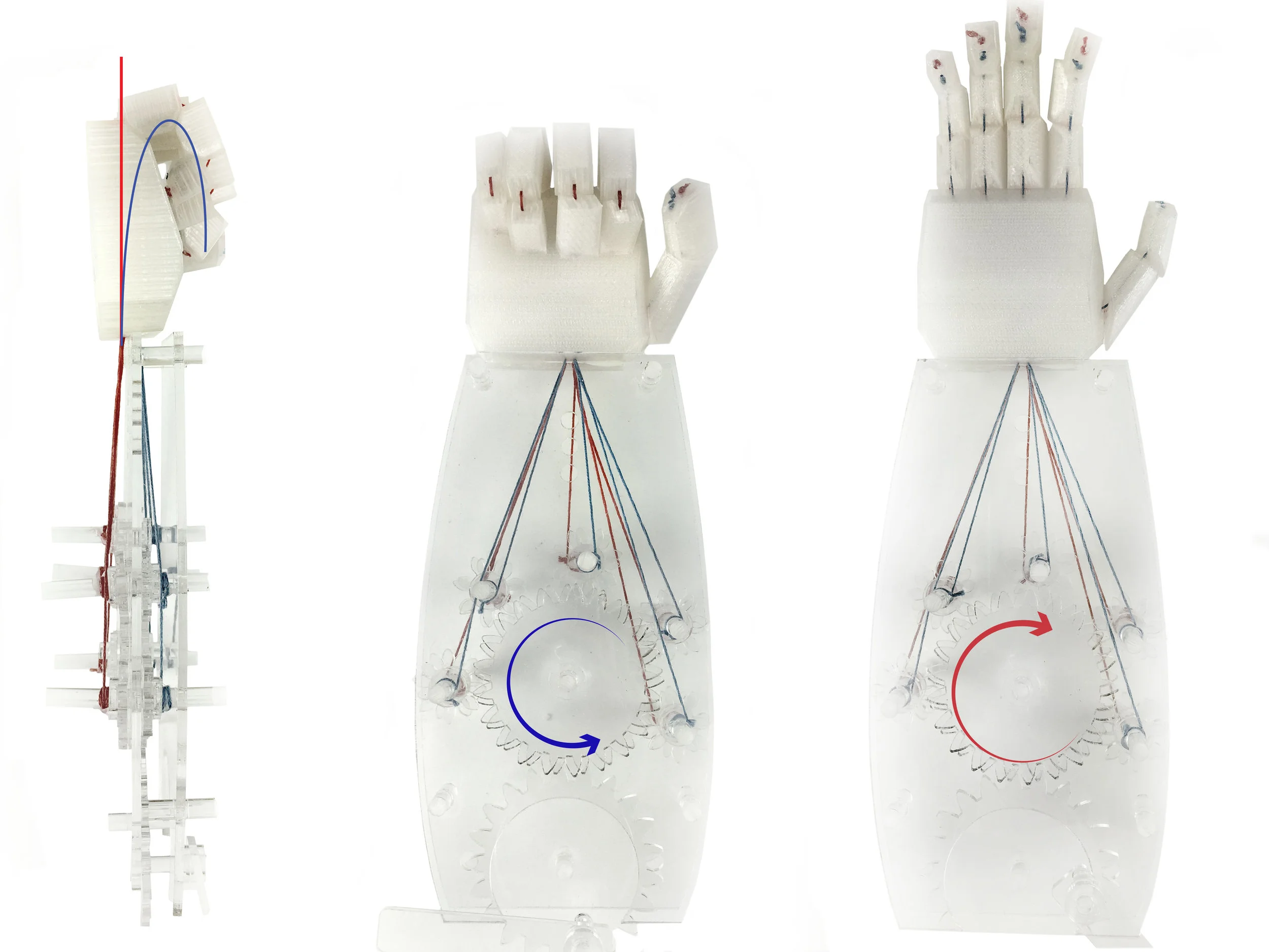 The image above uses laser cut gears and colored string to create pulleys for controlling extension or flexion. The image left is a 3D printed iteration of the hook grip, resembling a tentacle.