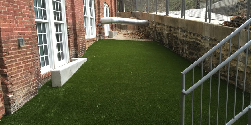 image of artificial grass for dogs