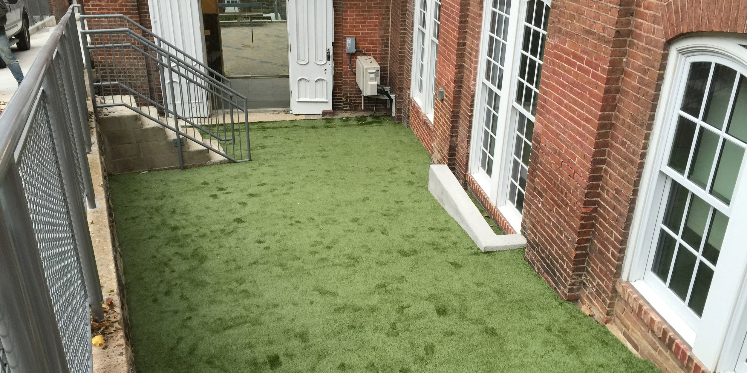 image of artificial grass for dogs in Baltimore