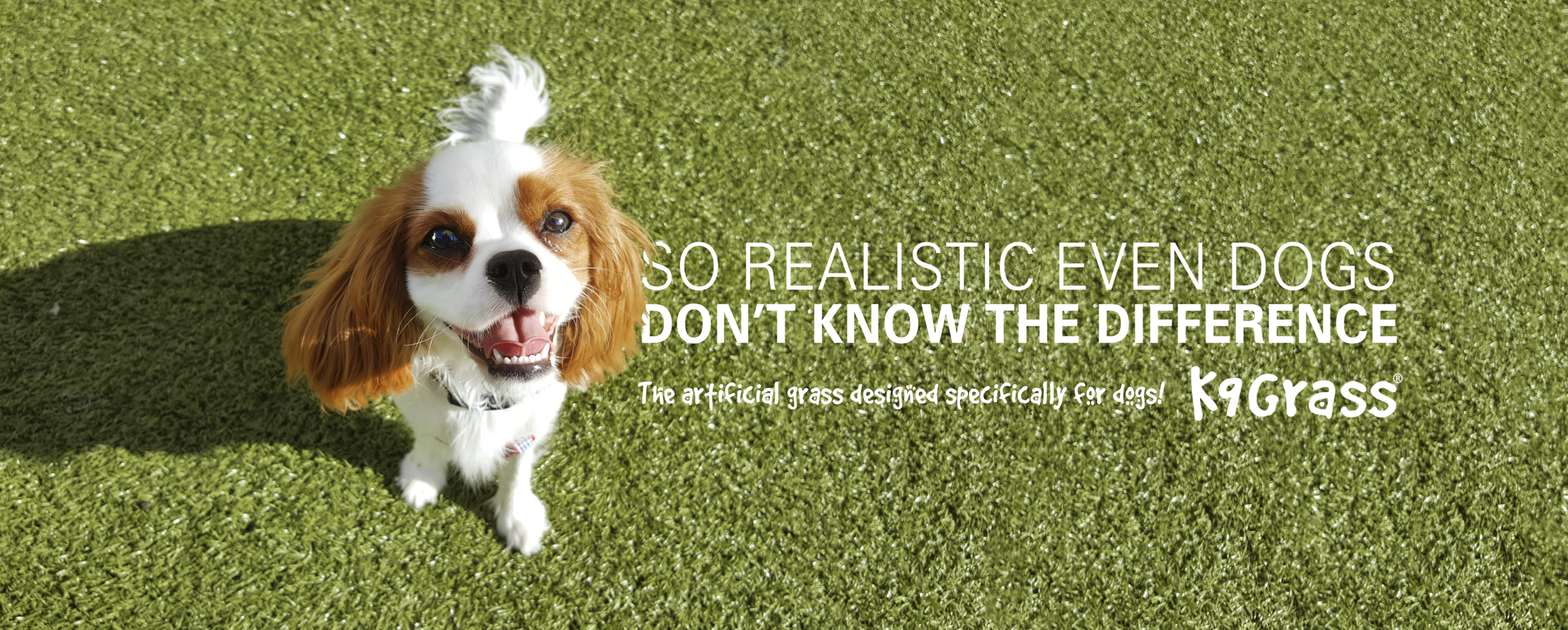 k9Grass_Banner_01V2.png