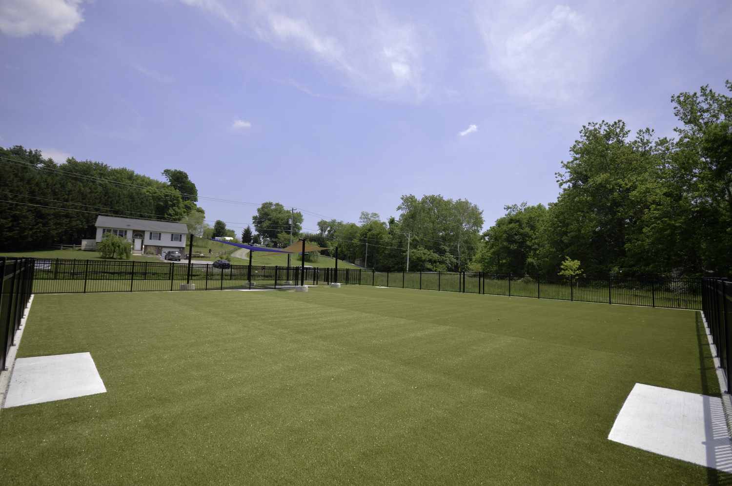 image of artificial grass installed for a dog park