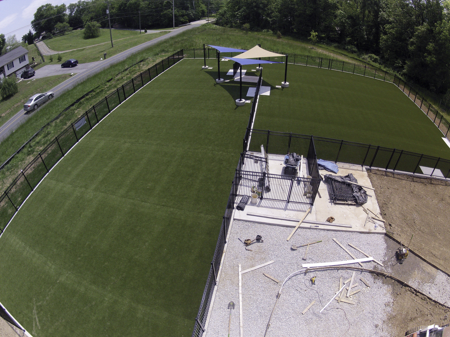 image of artificial grass installed for a dog park