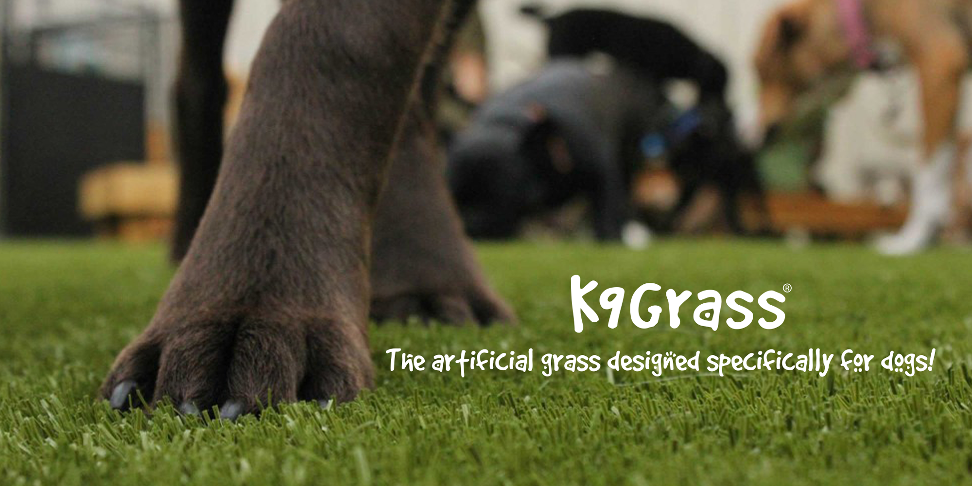 image of ForeverLawn of South Jersey artificial dog grass