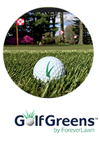image of Golf greens grass