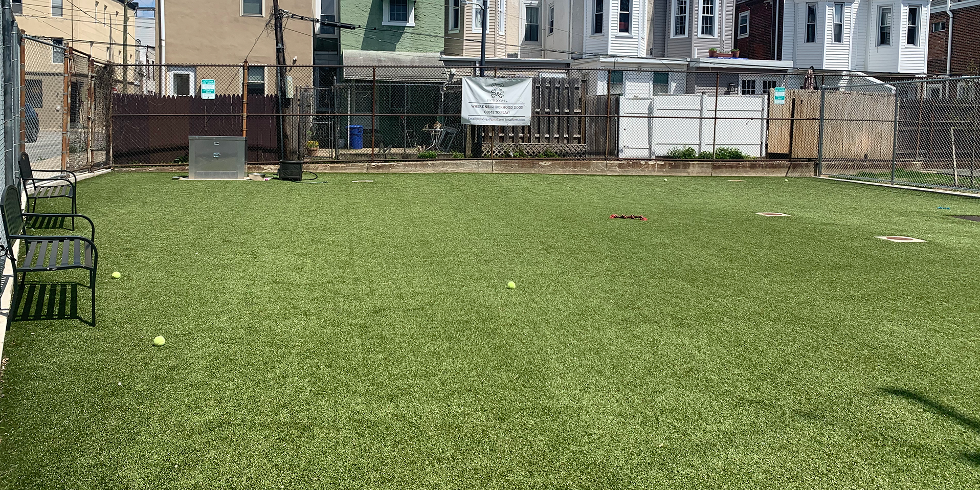 image of artificial dog grass in East Kensington