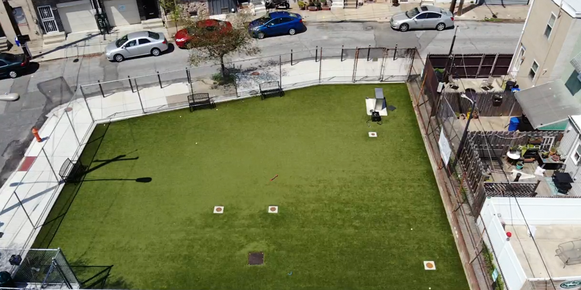 image of artificial dog grass in East Kensington