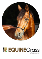 equinegrasslogo.png