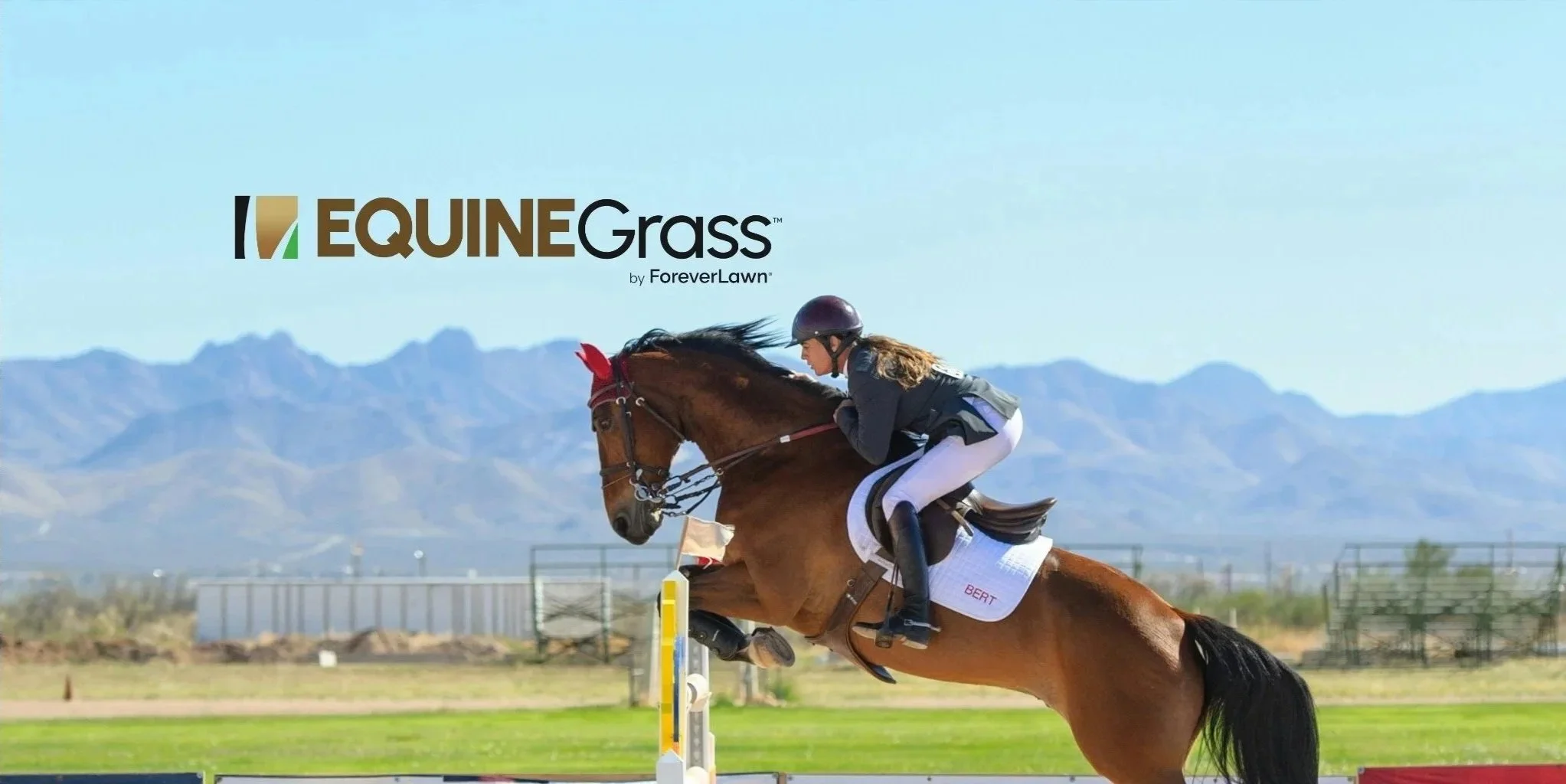 equinegrassbanne2.jpg
