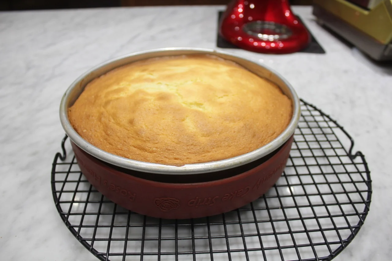 BAKED CAKE uniform in texture from the cake strip