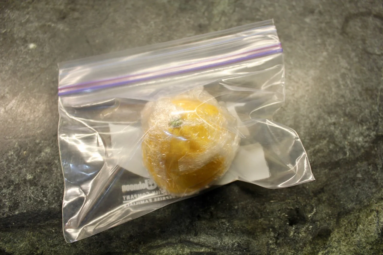 wrapped and freezer bagged