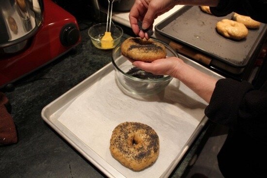 My Best Bagels with Step by Step Photos Part 1 — Real Baking with Rose