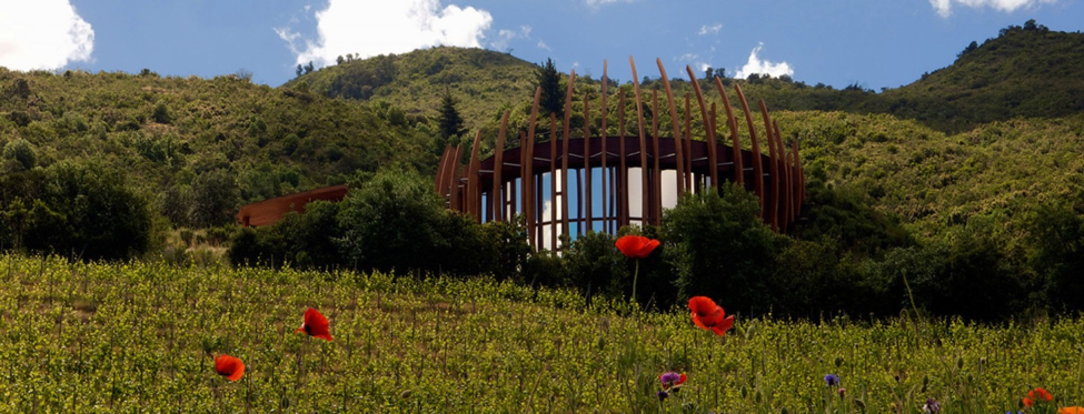 Lapostolle Vineyard