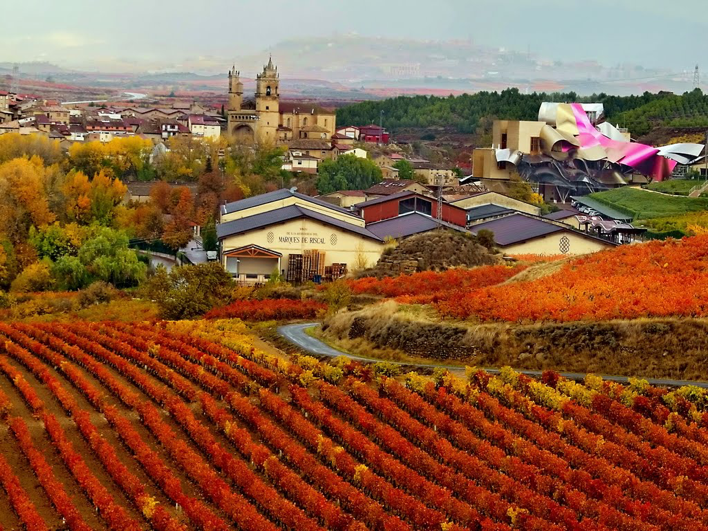 Marques de Riscal Winery in La Rioja
