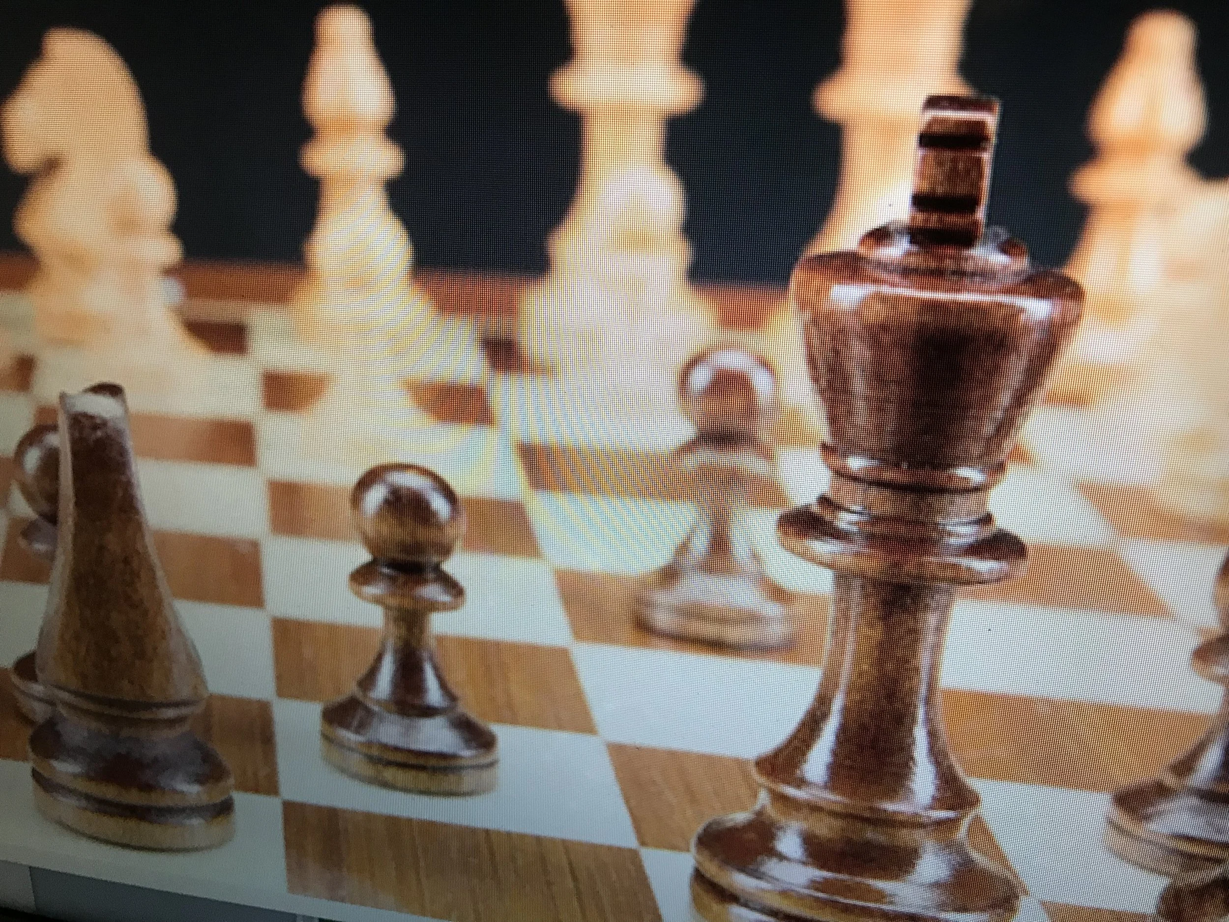 Schach für Kinder im Seefeld