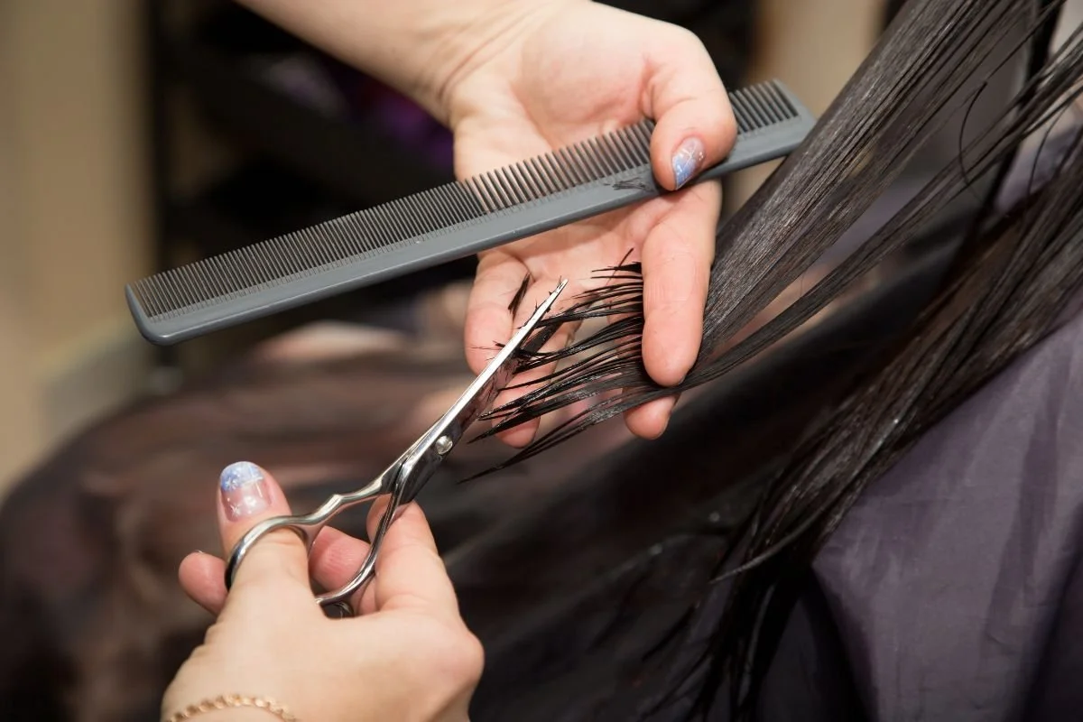 The Back to School Reset: A Cut and Color Refresh Before Fall
