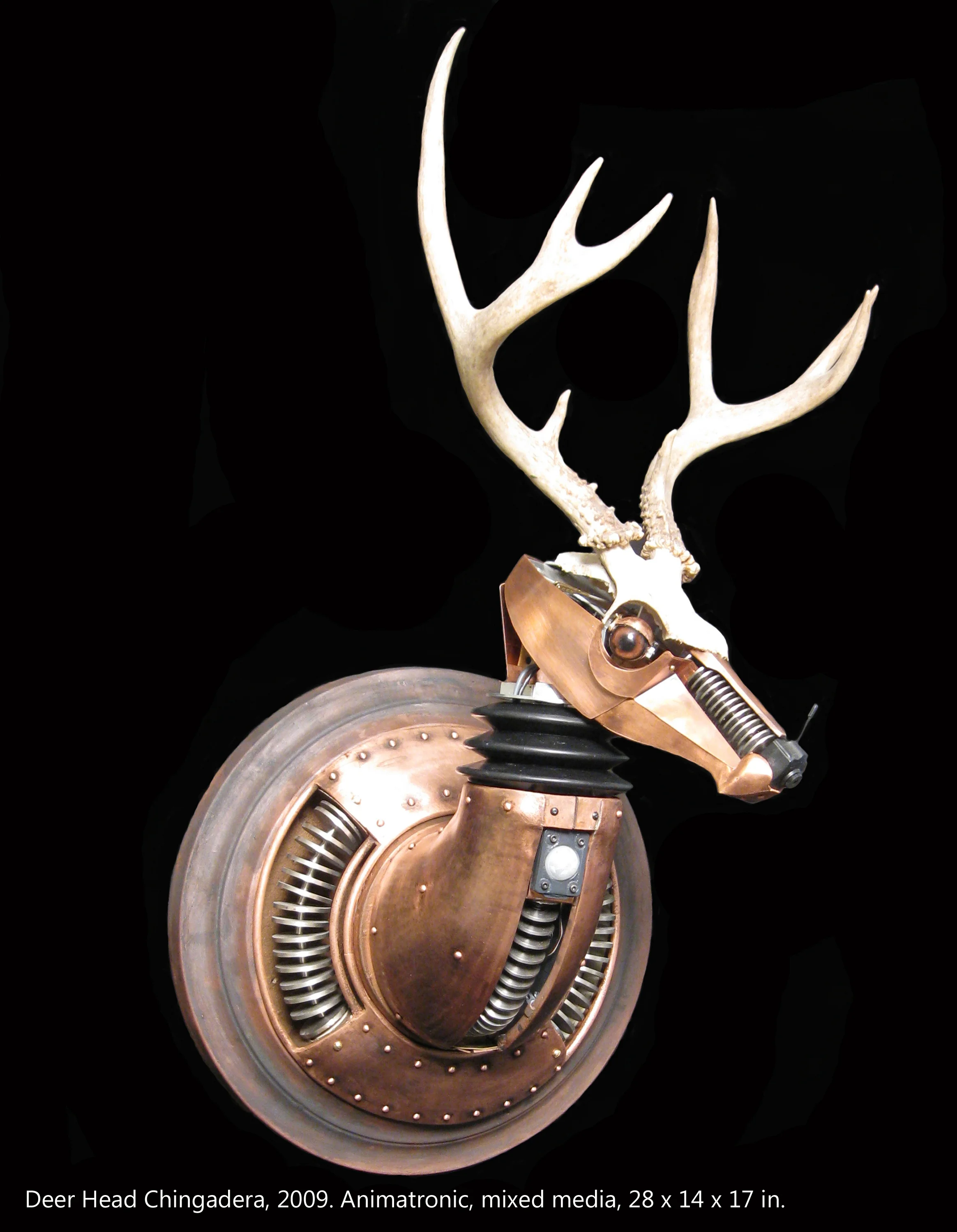 26 Deer Head Chingadera.jpg