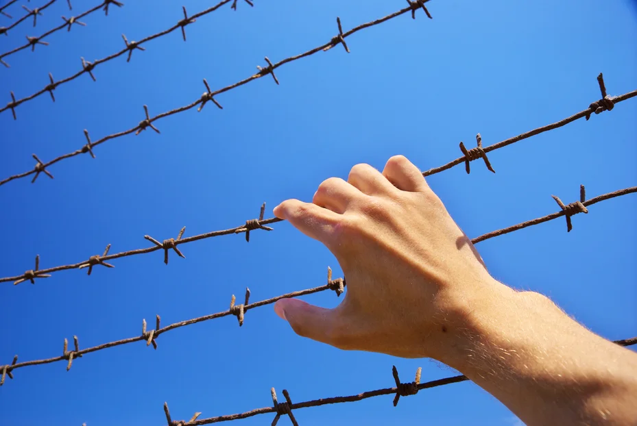 Repatriating Canada's Terrorist Travelers: The Threat Management Considerations