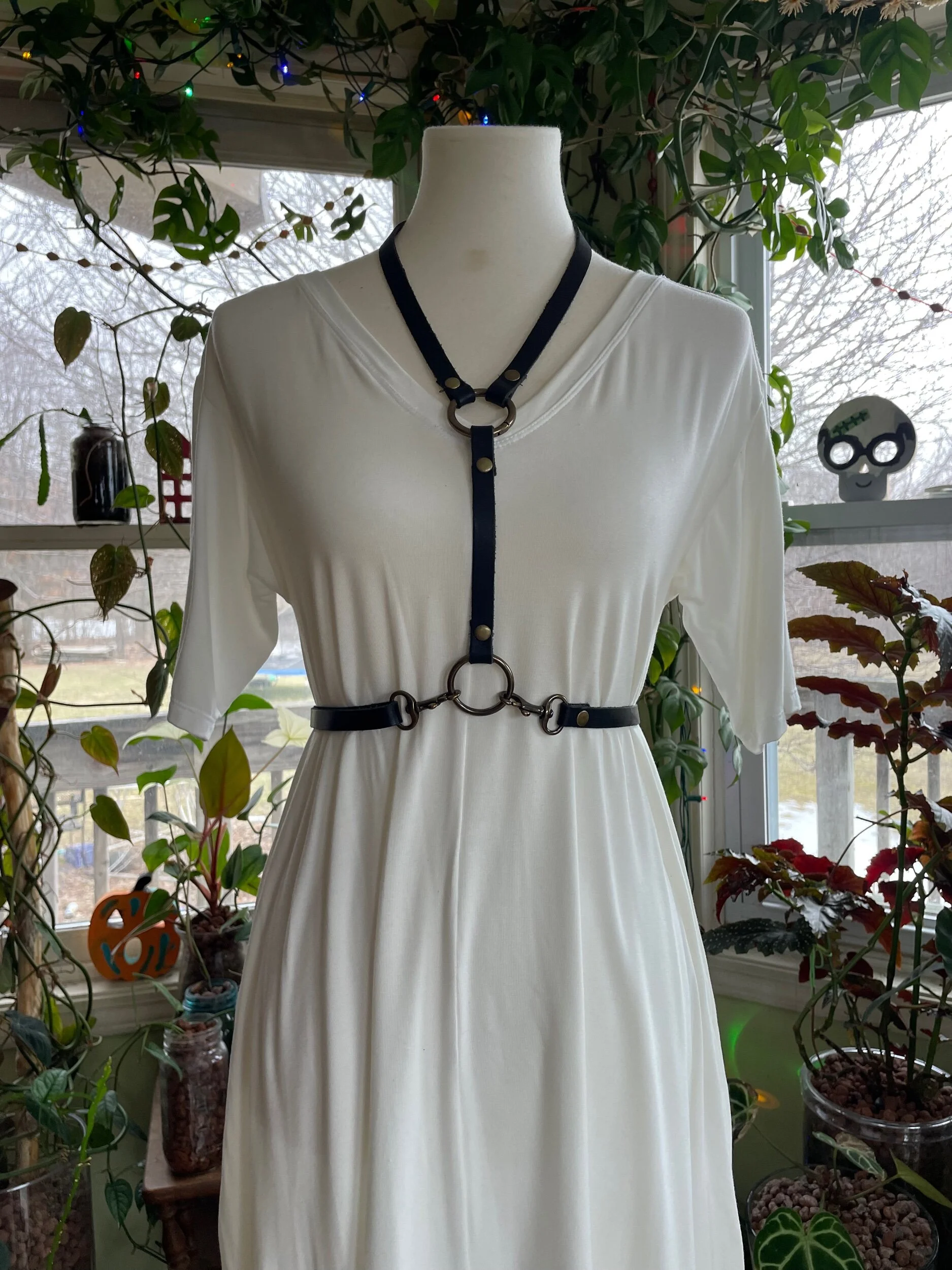 36800DA1-B683-400D-A551-C97B1964F69F