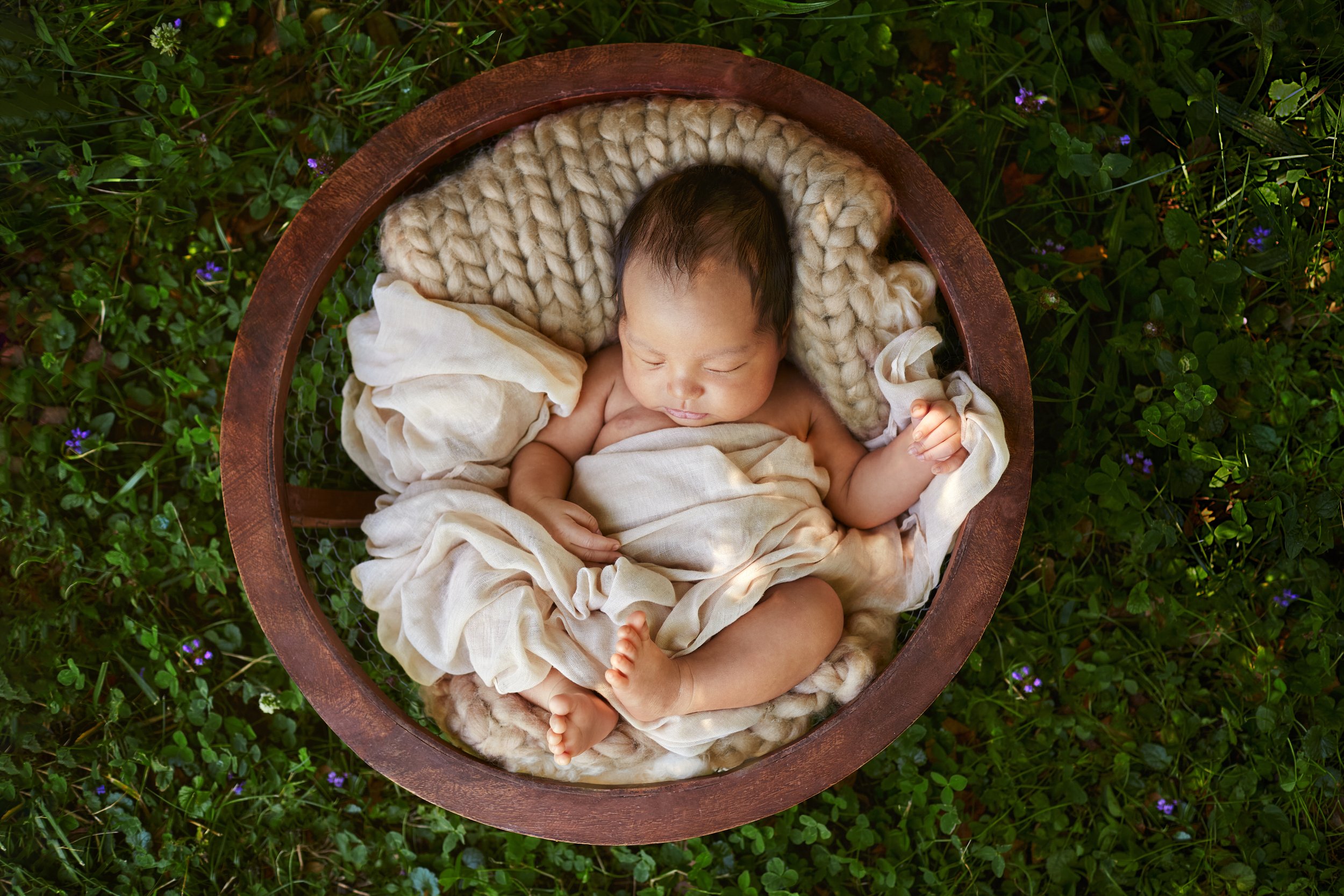 photographe bébé Grenoble 