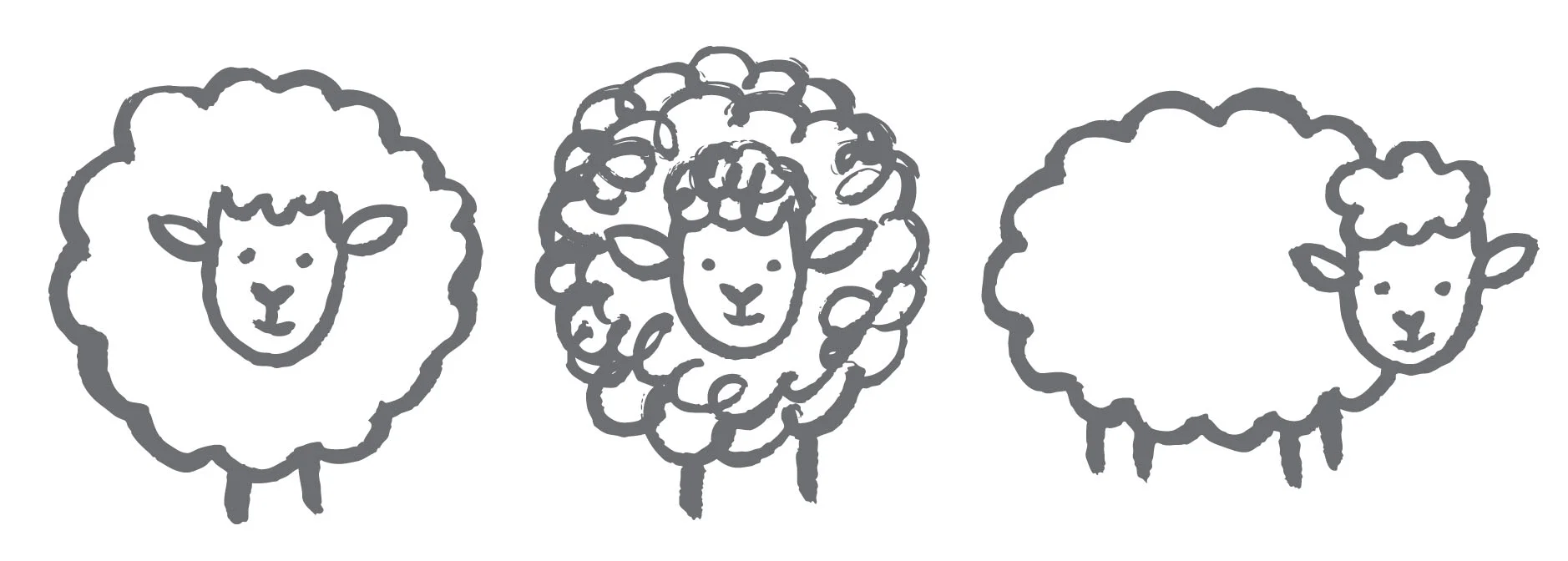 baby christian sheep.jpg