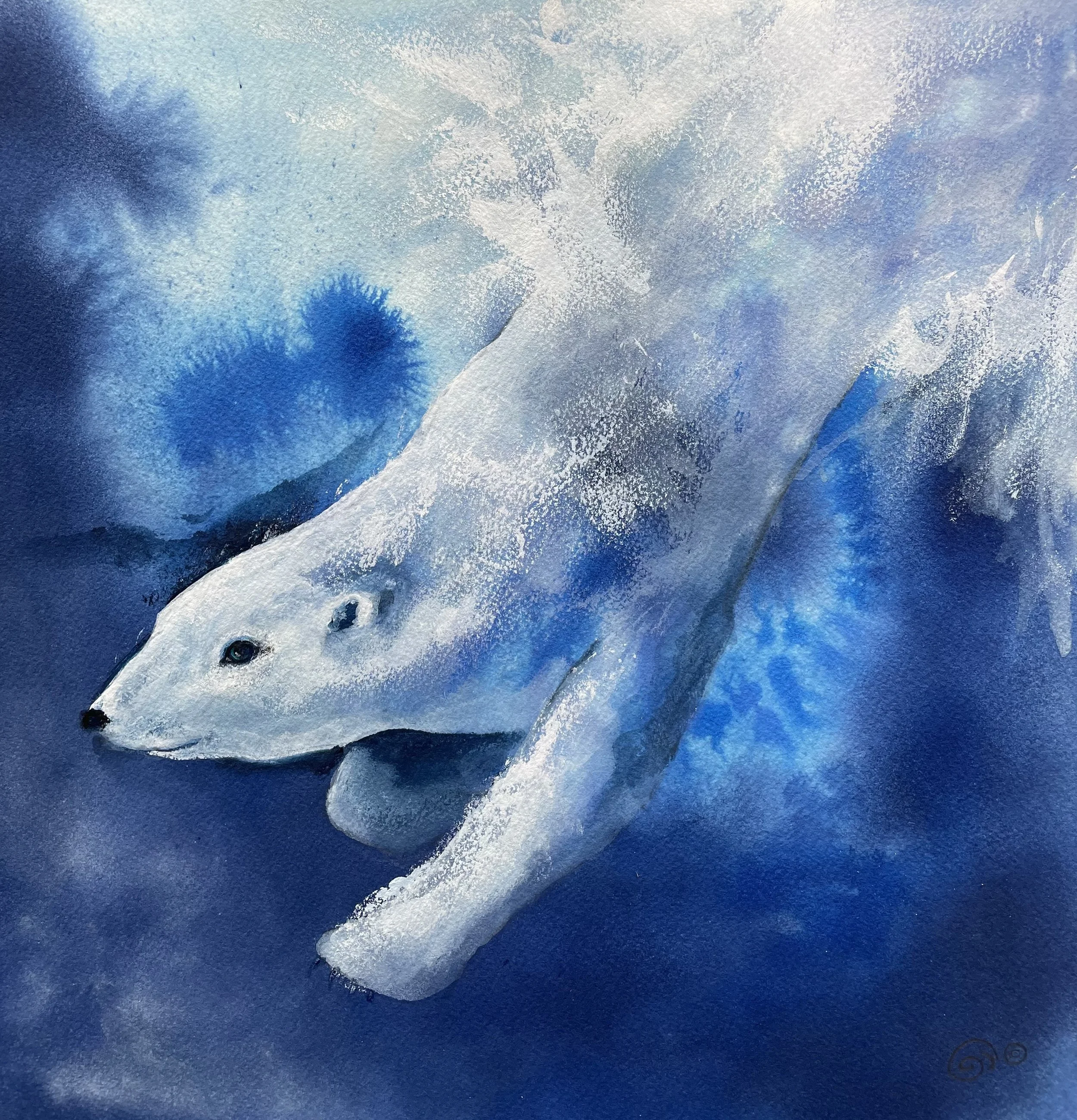 Polar Paddle  14x14 Original Ink and Acrylic   $195