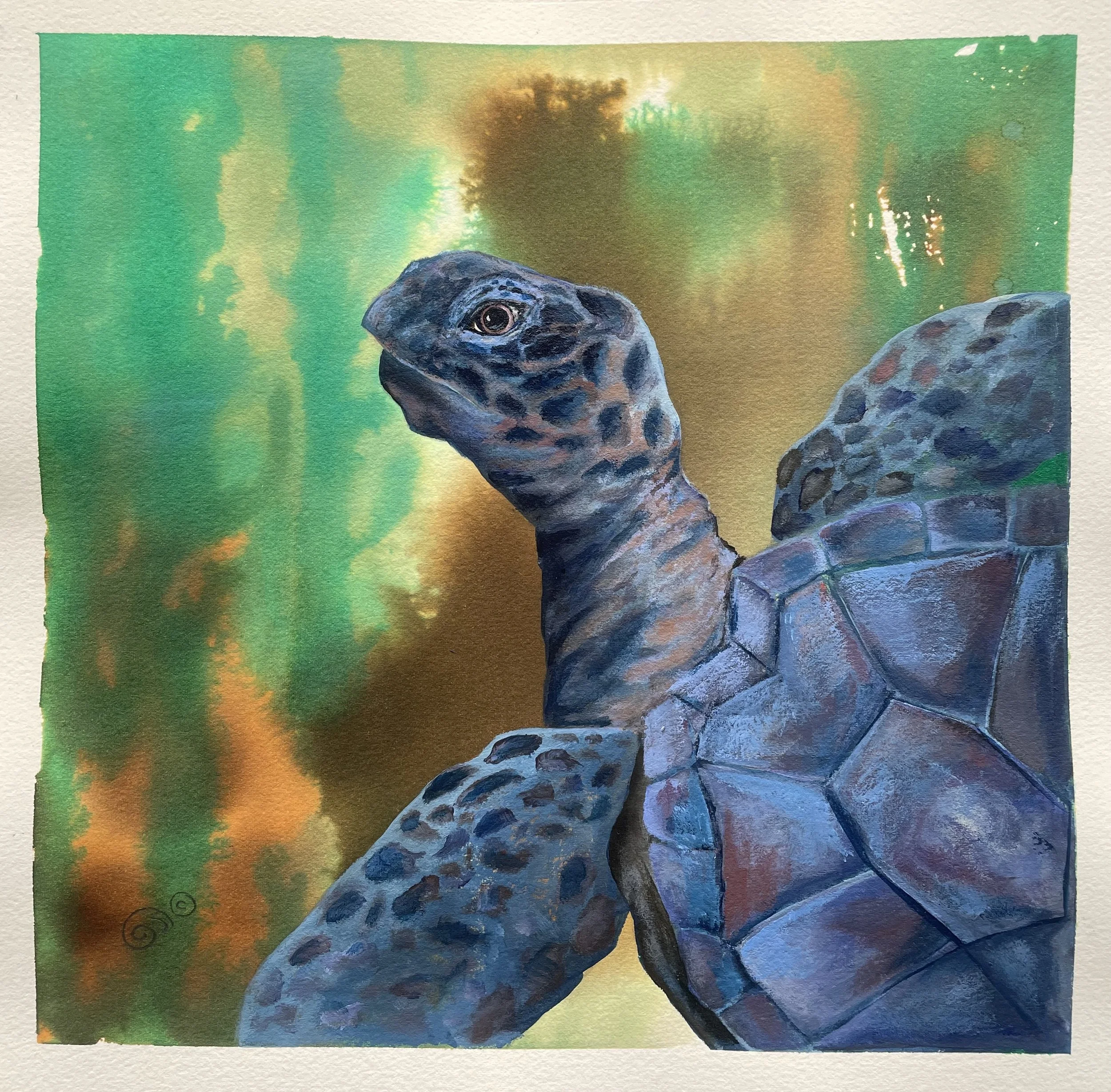 Enjoying the Pace  14x14 Original Ink and Acrylic   $195