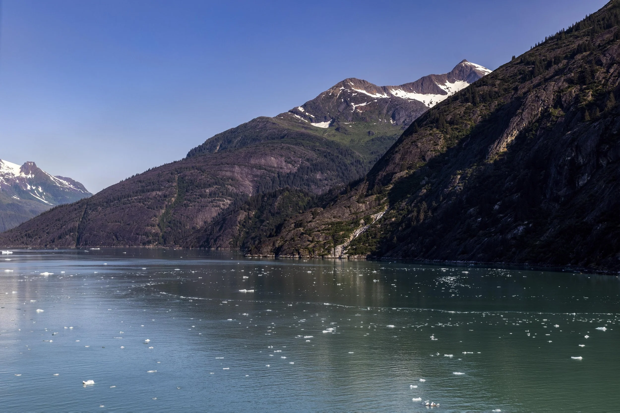 Lot of Ice in the Water Small.jpg