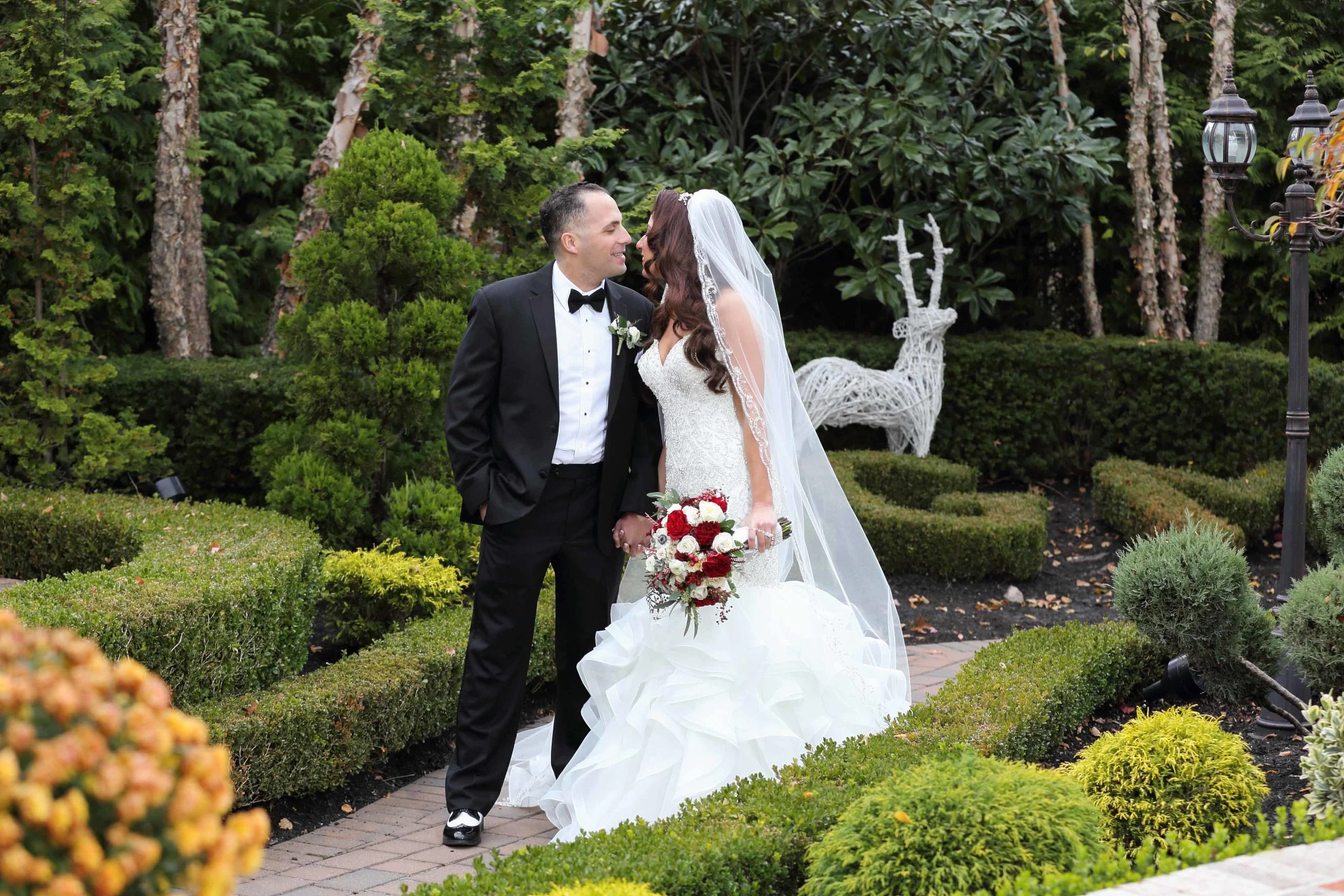 Copy of Visual Image Video and Photography