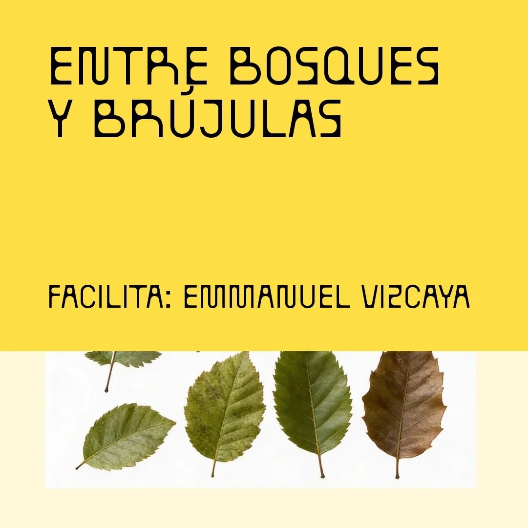 WEB C (2)-fotor-20260107172518.jpg