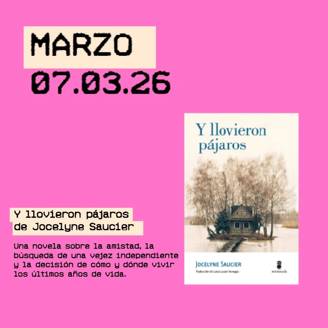 FEED CLUB POR MES.002-fotor-2026011318129.jpg