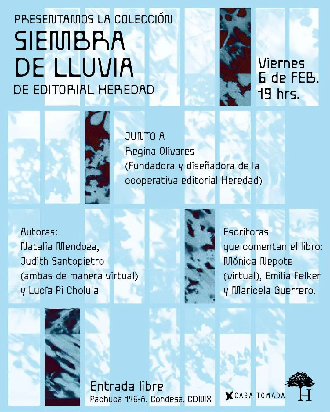 Mesa de trabajo 1 copia 2 (15)-fotor-20260121234116.jpg