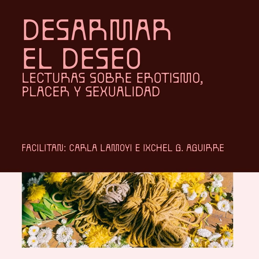 WEB C (12)-fotor-20260226164925.jpg